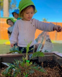 Elise garden